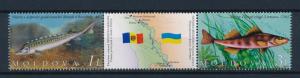 [39549] Moldova 2007 Marine Life Fish Joint issue Ukraine MNH