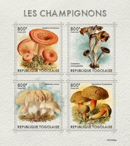 TOGO - 2021 - Mushrooms - Perf 4v Sheet - Mint Never Hinged