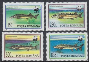 1994 Romania 5034-5037 Sea fauna / WWF 5,00 €