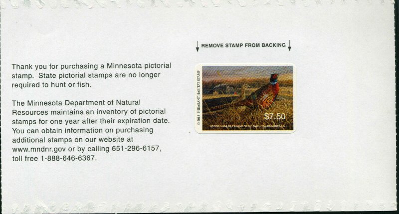 MINNESOTA #33P 2015 STATE PHEASANT STAMP  by Stephen Hamrick