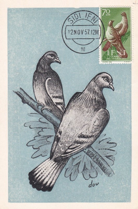Ifni # 81, Rock Doves on Maxi Card First Day Cover