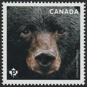 BLACK AMERICAN BEAR = Stamp from Souvenir Sheet Canada 2019 MNH VF