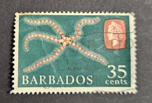 Barbados 1965  SG332 used 35c. Brittle star