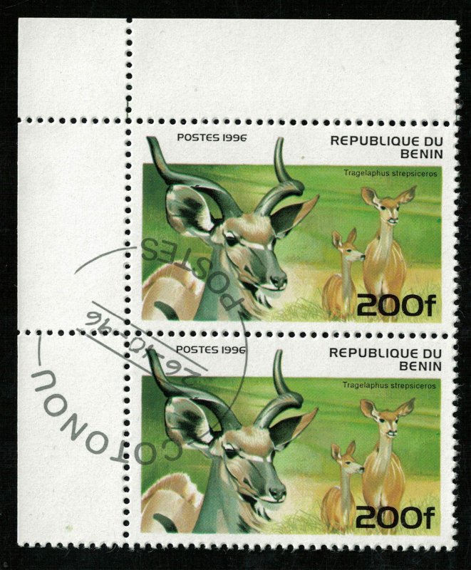 Animals, (3154-T)