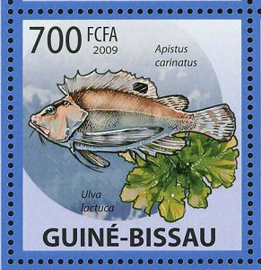 Marine Plants Fish Stamp Dragonetta Xenica Fucus Serratus S/S MNH #4291-4295