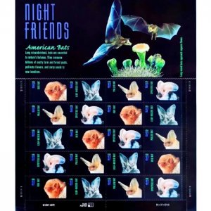 Night Friend 5 Books of 20pcs total 100pcs