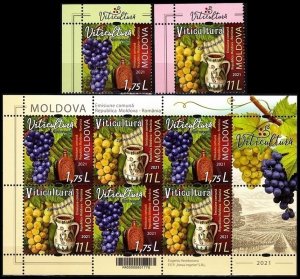 MOLDOVA 2021-17 FLORA: Viticulture. Grapes Wine. UL CORNER & S/Sheet. JOINT, MNH