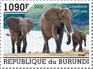 Burundi - 2022 African Bush Elephants - Stamp - BUR2201007a