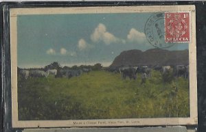 ST LUCIA   (P2808BB)  1948      KGVI   1D  ON PPC  LOCAL 