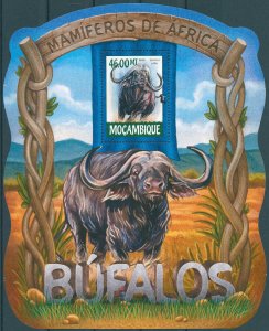 Mozambique 2015 MNH Wild Animals Stamps Buffalos African Buffalo 1v S/S II