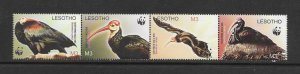 BIRDS - LESOTHO #1336  SOUTHERN BALD IBIS  WWF  MNH