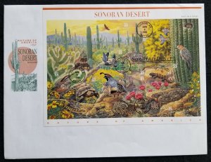 U.S. Used #3293 33c Sonoran Desert Sheet/10 Colorful ArtMaster First Day Cover