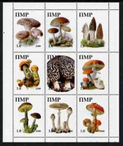 TRANSDNISTRIA - 2000 - Fungi - Perf 9v Sheet - Mint Never Hinged