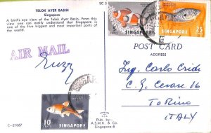 ac6679 - SINGAPORE  - Postal History - Airmail POSTCARD  to ITALY 1963 - FISH