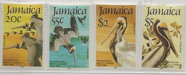 Jamaica 595-598 m