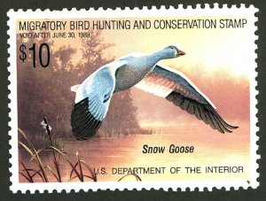 U.S. #RW55 MINT OG NH