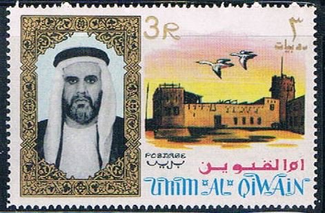 Umm Al Qiwain fort (UP19R406)