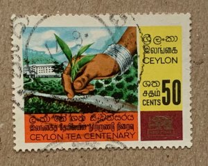 Ceylon 1967 50c Tea Industry, used. Scott 407, CV $0.40. SG 528