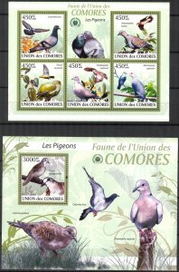 Comoro Islands 2009 Birds Pigeons Sheet + S/S MNH