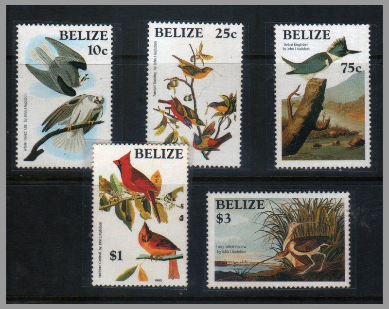 BELIZE - 1985 BIRDS / BIRD - 5V - MINT NH