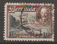 Bermuda SG 100  Used