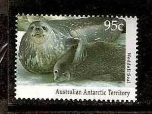 AUSTRALIAN ANTARCTIC TERRITORY MARINE MAMMALS, WEDDELL SEAL # 1296