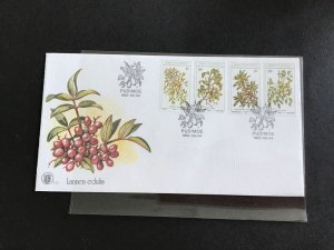 Bophuthatswana  1980 Plants Pudimoe stamps cover R33685