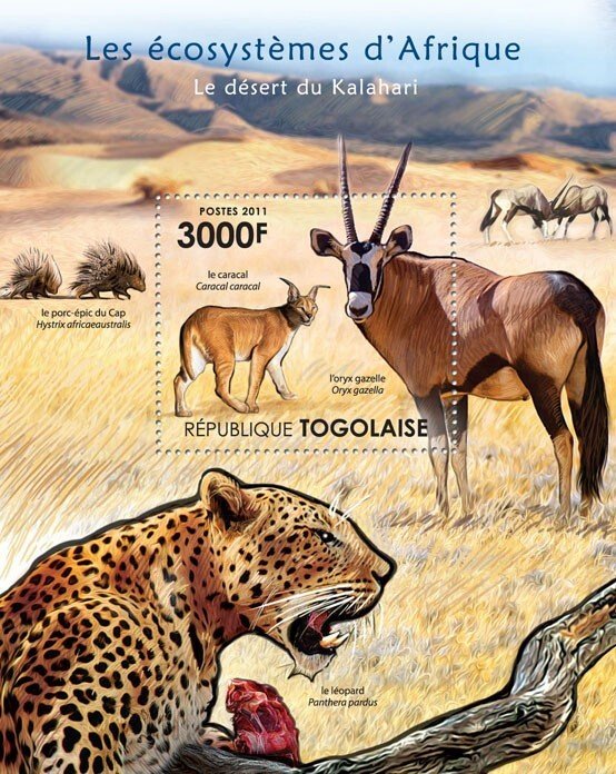 TOGO - 2011 - Kalahari Desert Fauna - Perf Souv Sheet - Mint Never Hinged