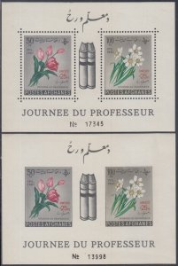 AFGHANISTAN Sc# B5.1 CPL MNH 2 SHEETLETS  PERF & IMPERF for TEACHERS' DAY