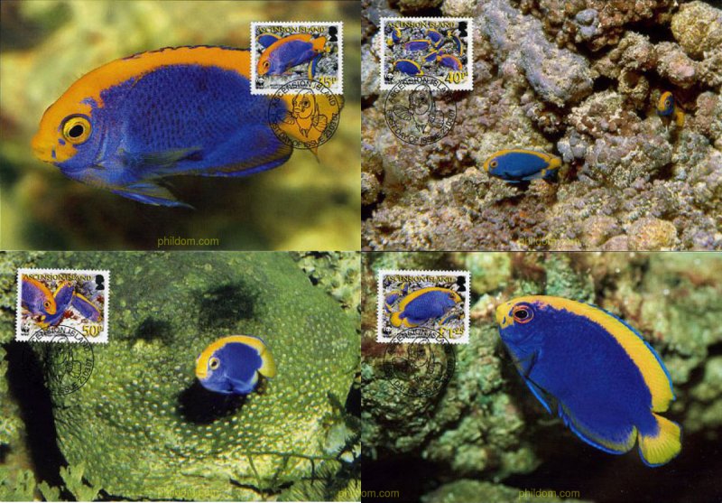 201870 MNH ASCENSION 2007 PECES