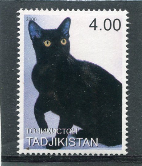 Tajikistan 2000 DOMESTIC CAT Single Perforated Mint (NH)