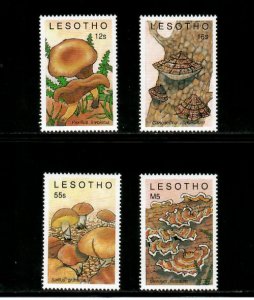 Lesotho 1989 - Mushrooms - Set of 4 Stamps - Scott #722-4 - MNH
