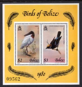 Belize 501 Birds Souvenir Sheet MNH VF