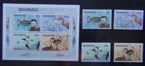 Bahamas 1981 Wildlife 1st Series set & Miniature Sheet MNH