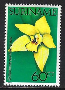 Suriname 464 MNH Z9022