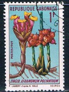 Gabon 244 Used African plant ur 1969 (G0313)+