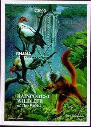 GHANA SHEET BIRDS LEMUR MACACO RAINFOREST WILDLIFE