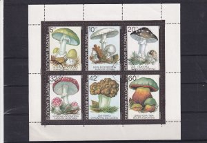 SA26d Bulgaria 1990 Mushrooms, used sheet