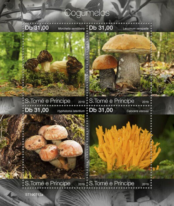 Sao Tome & Principe 2019 MNH Mushrooms Stamps Morchella Leccinum Fungi 4v M/S