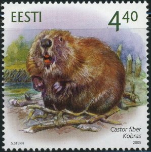 Estonia #503 Eurasian Beaver Castor Fiber 4.40K Postage Stamp 2005 Eesti MLH