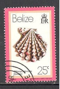 Belize 479 used - cto (DT)