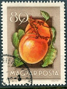 Hungary FRUIT PEACH Stamp Perforated Fine used