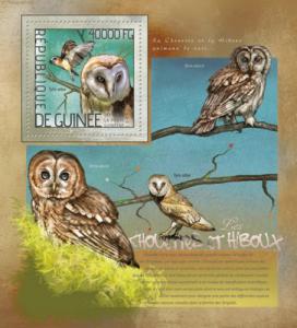 GUINEA 2014 SHEET OWLS BIRDS WILDLIFE