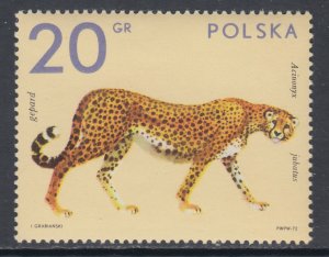 Poland 1888 Leopard MNH VF