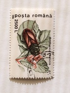 Romania – 1996 – Single “Insect” Stamp – SC# 4091 – CTO