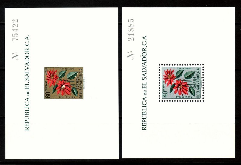 Salvador Sc 718-C192 NH Souvenir Sheets   Flower - Sc$16