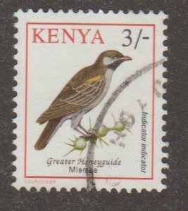 600 Birds - Kenya