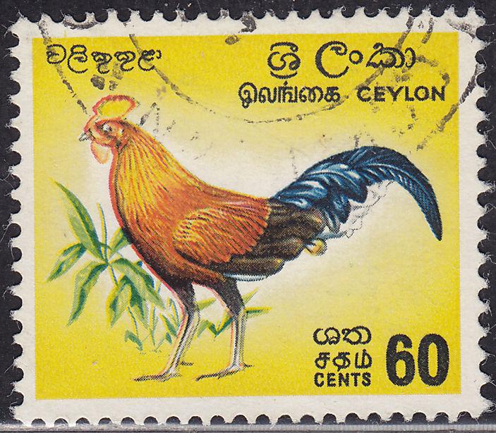 Ceylon 377  Ceylon Jungle Fowl 1964