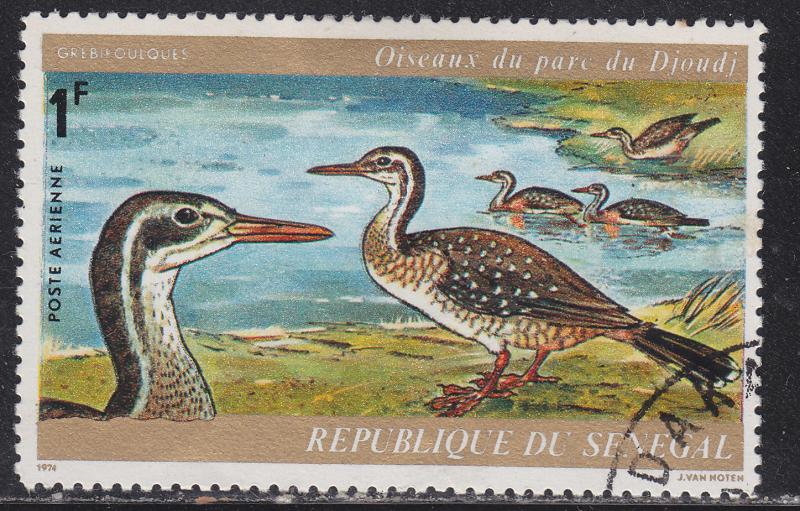 Senegal C130 Finfoot Ducks 1974