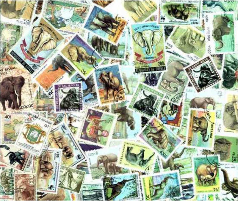 Elephants Stamp Collection - 100 Different Stamps